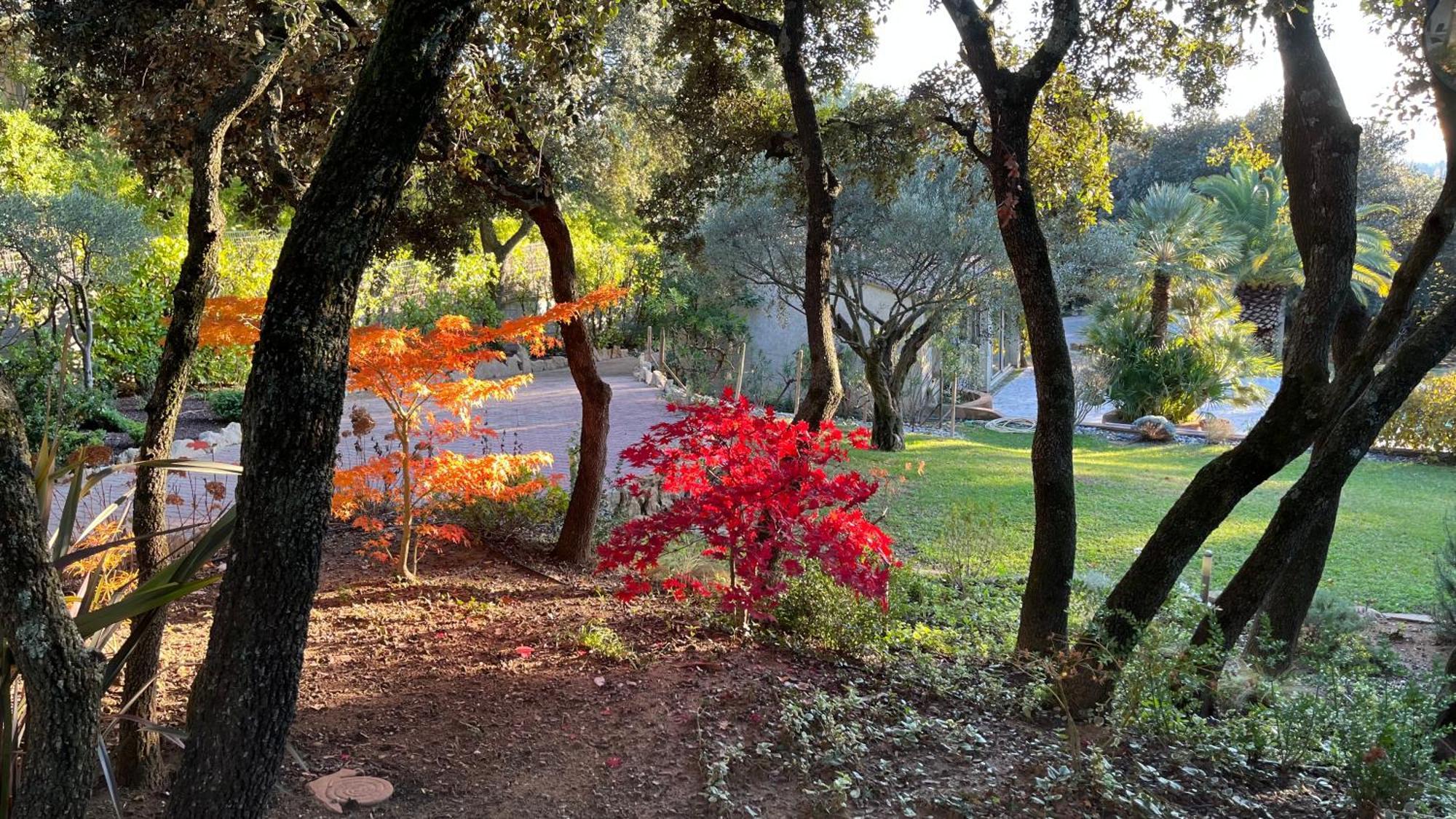 Santolines En Provence Bed & Breakfast Piolenc ภายนอก รูปภาพ
